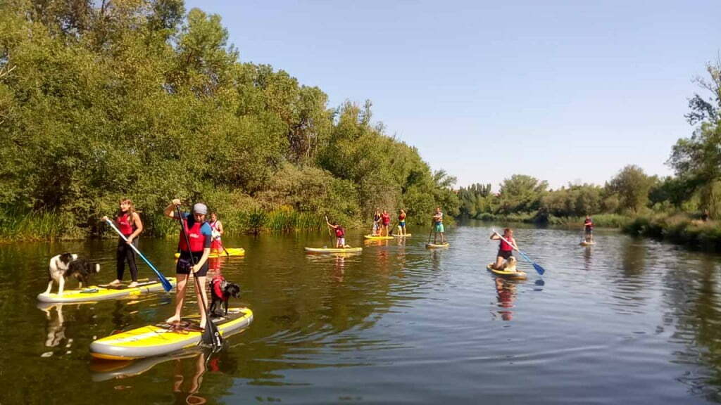 paddle surf 7