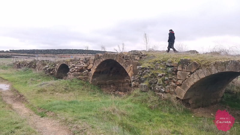 El puente de la Valmuza Puente de la Valmuza