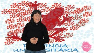 Provincia Universitaria 2025