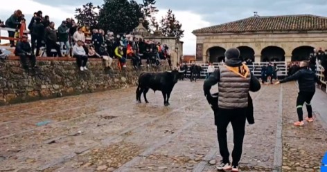 Toro del aguardiente